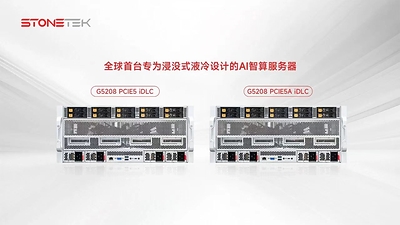 图3:LiquidSvr G5208 PCIE5 iDLC产品家族 图3:LiquidSvr G5208 PCIE5 iDLC产品家族